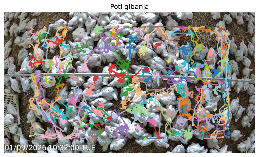 Goste barvne poti gibanja čez slamo